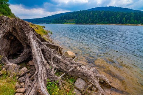 An image depicting the trail Westweg and its surrounding area.