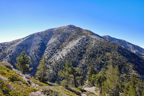 An image depicting the trail Dowson Peak and Pine Mountain via Pacific Crest Trail and Acorn Trail and its surrounding area.