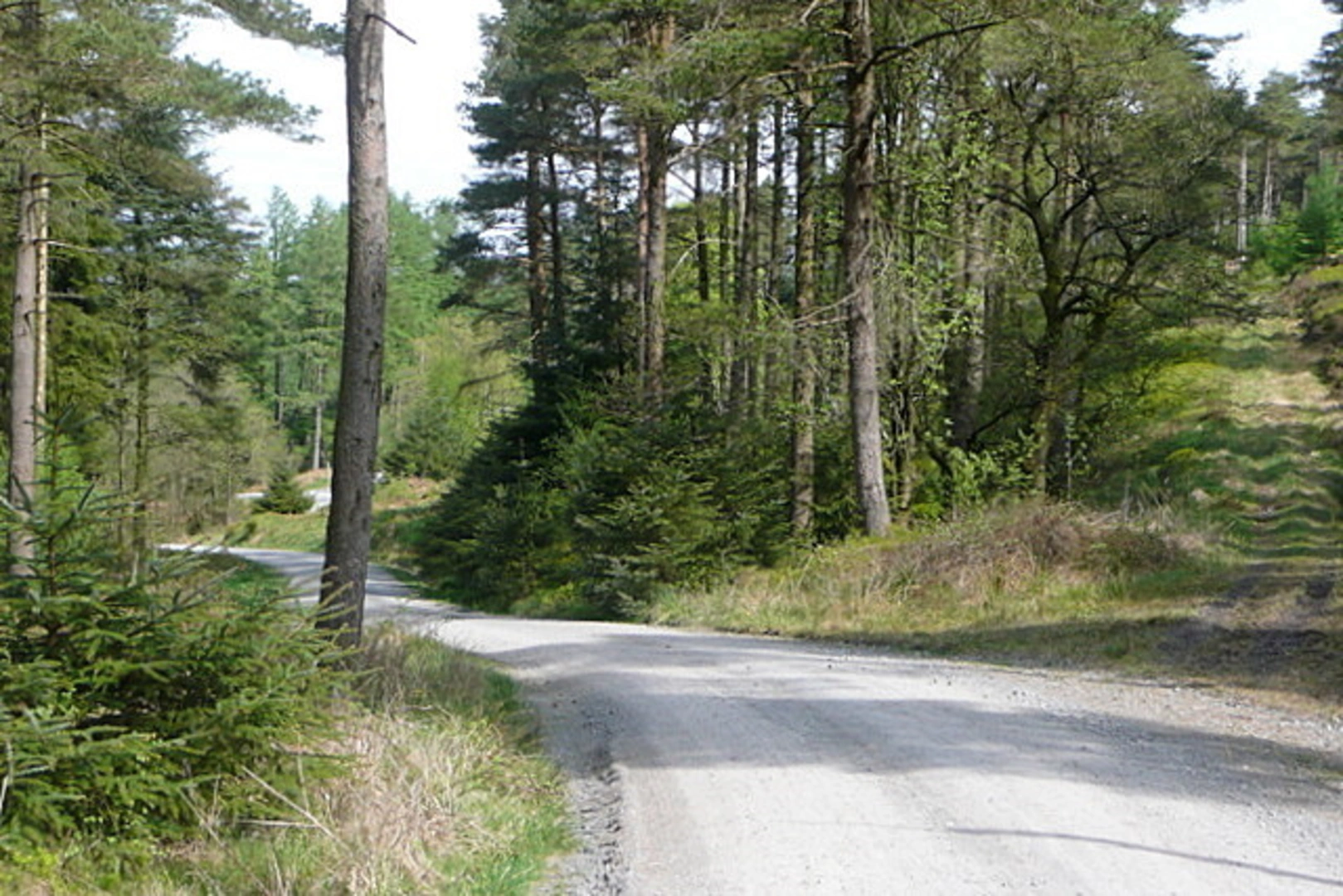 An image depicting the trail Coniston Water Loch to Coinston Walk and its surrounding area.