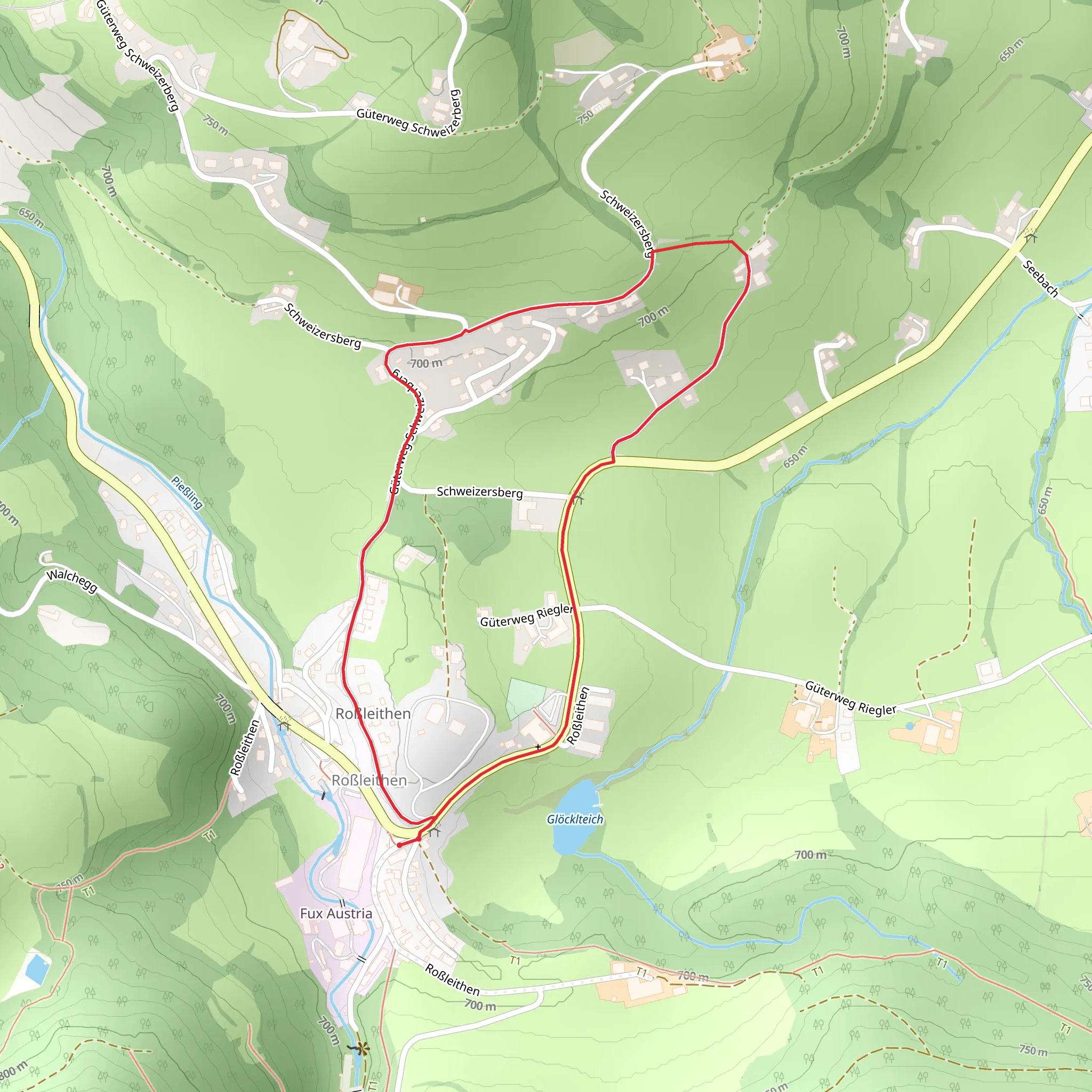 Red Trail in Roßleithen mobile static map