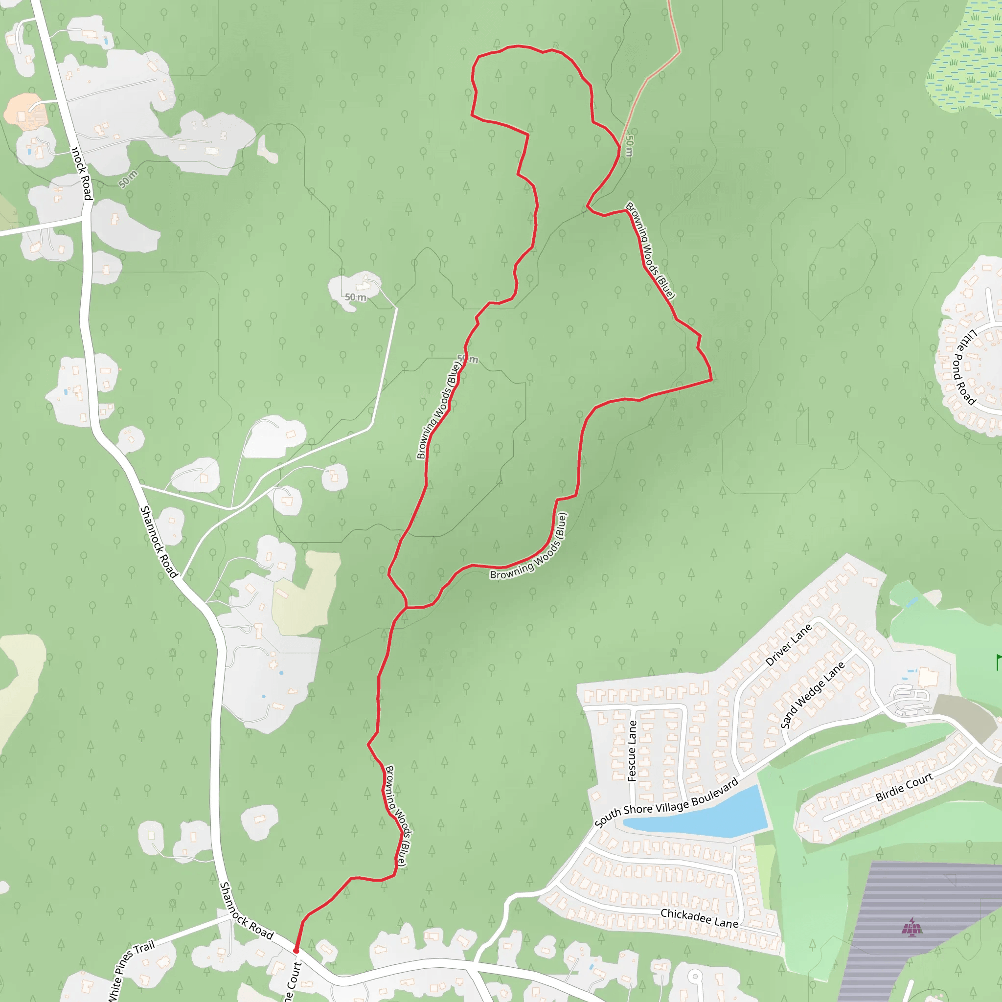 Browning Woods Blue Loop mobile static map