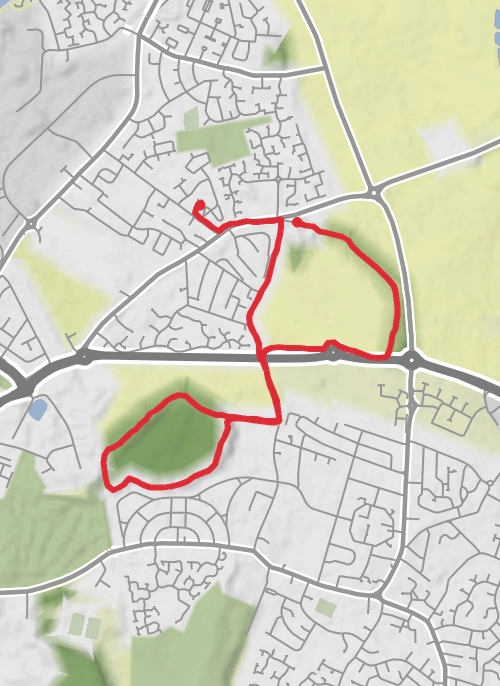local walk in the woods mobile static map