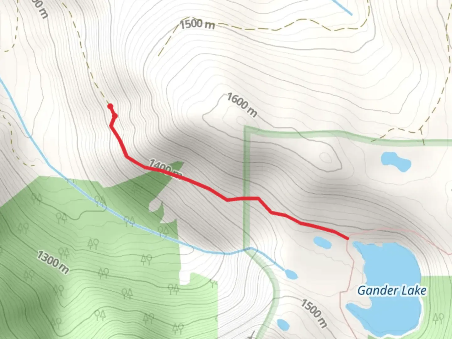 An image depicting the trail Gander Lake Trail and its surrounding area.