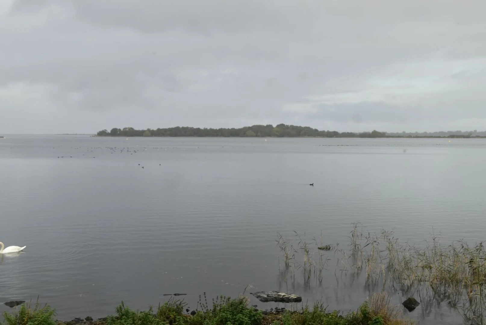 An image depicting the trail Oxford Island Loop and its surrounding area.