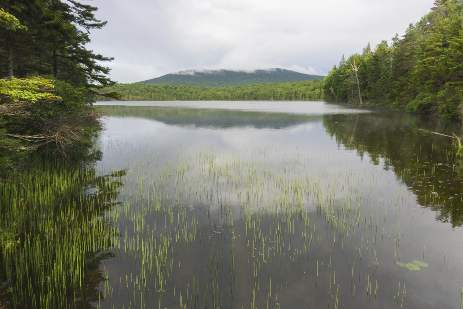 An image depicting the trail Stratton Mountain and Stratton Pond Loop Trail and its surrounding area.