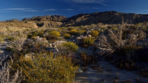 West Butte Borrego Mountain via West Butte Trail