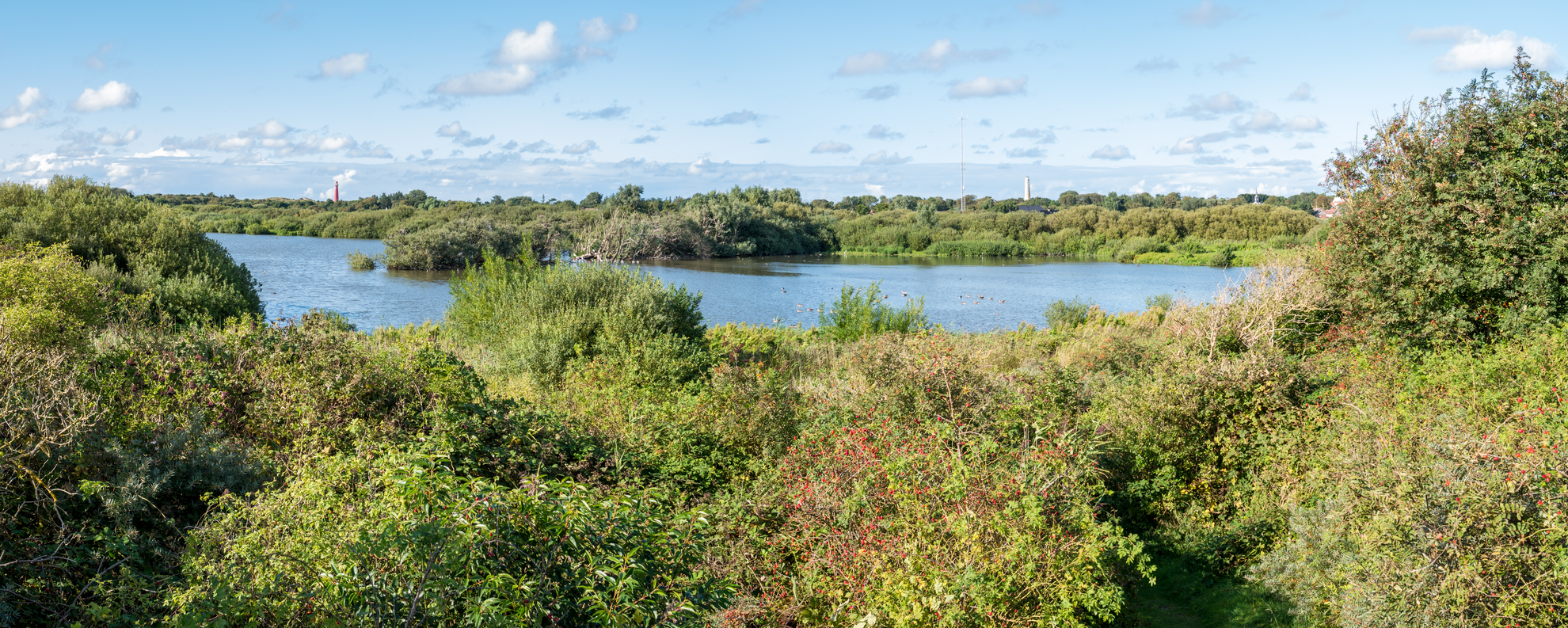 An image depicting the trail Noorderduinen, Westerplas and Laagte of Rede and its surrounding area.