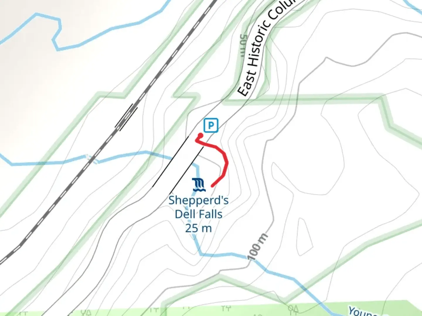 An image depicting the trail Young Creek and its surrounding area.