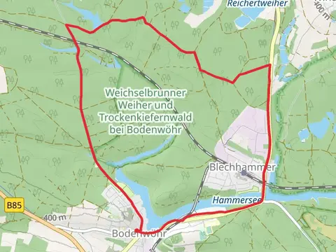 Weichselbrunner Weiher from Bodenwoehr