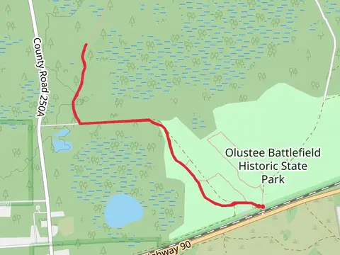 Olustee Battlefield Historic State Park Trail - Short