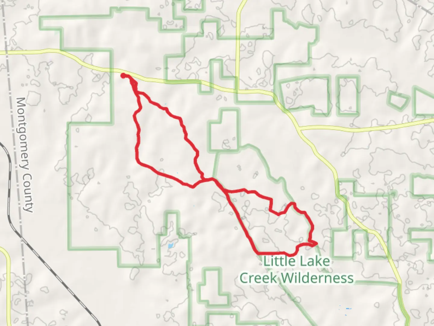 An image depicting the trail Little Lake Creek and Lone Star Hiking Loop Trail and its surrounding area.