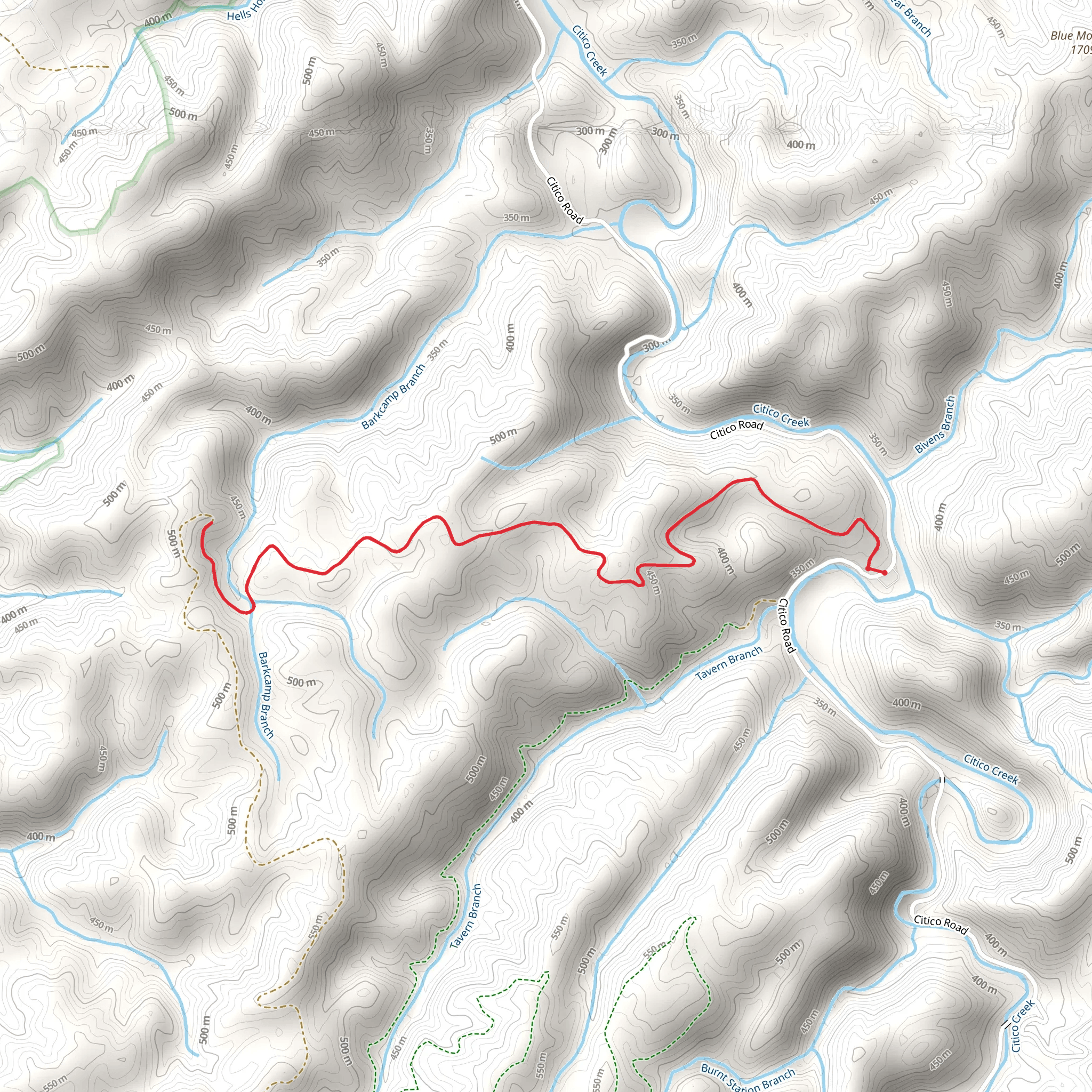 Barkcamp Branch from Citico Road mobile static map