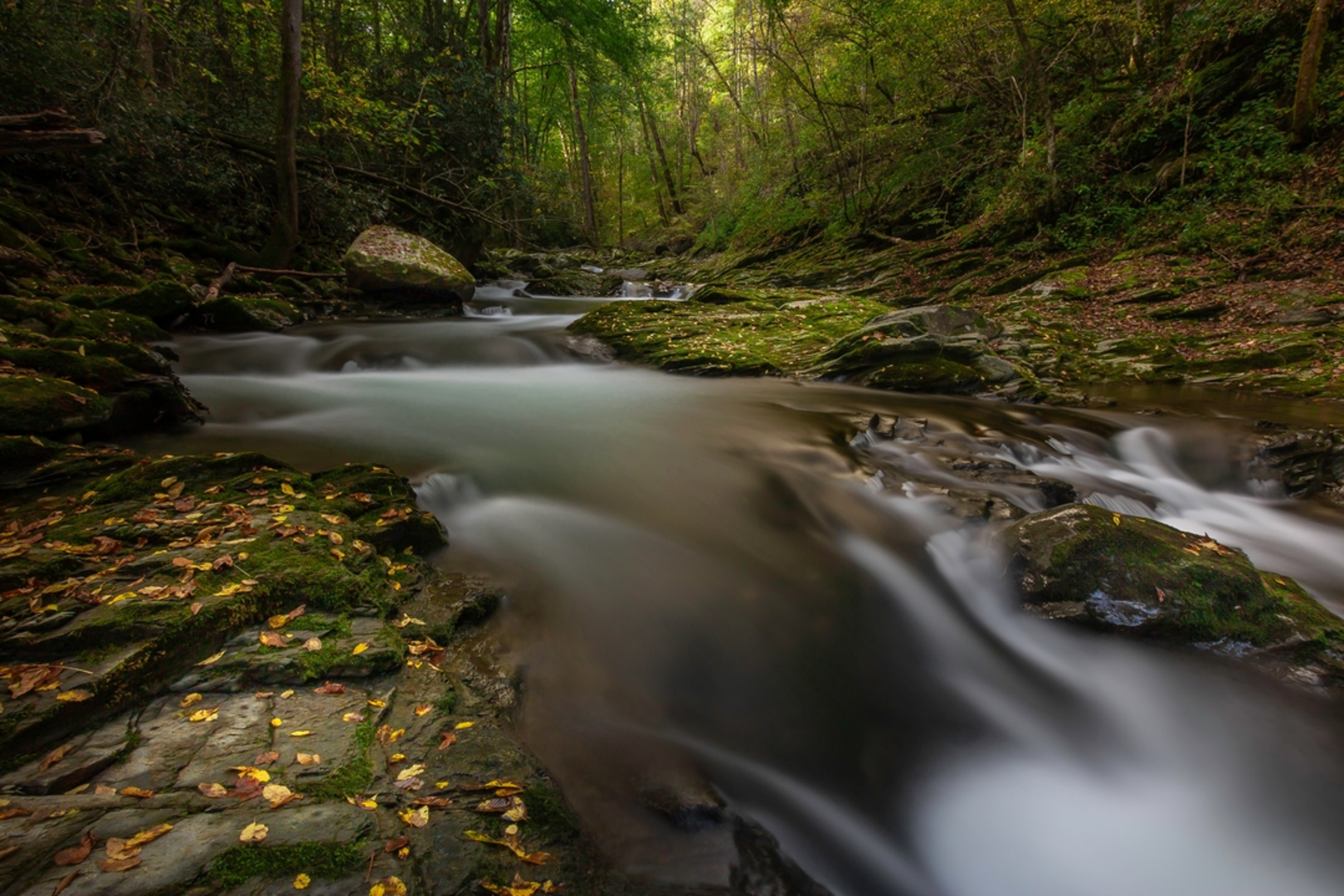 An image depicting the trail Big Creek Trail and its surrounding area.