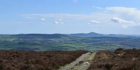 An image depicting the trail Kyle Loop and its surrounding area.