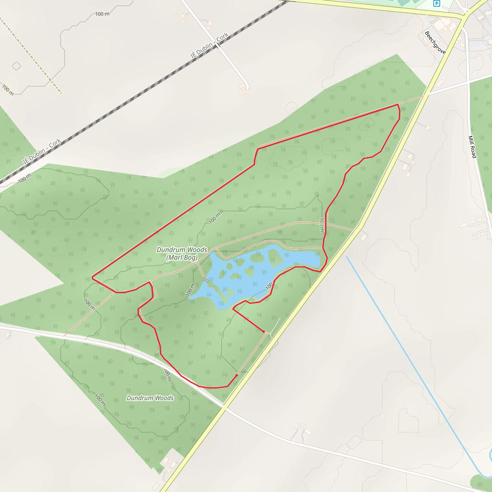 Marl Bog - Forest Walk mobile static map