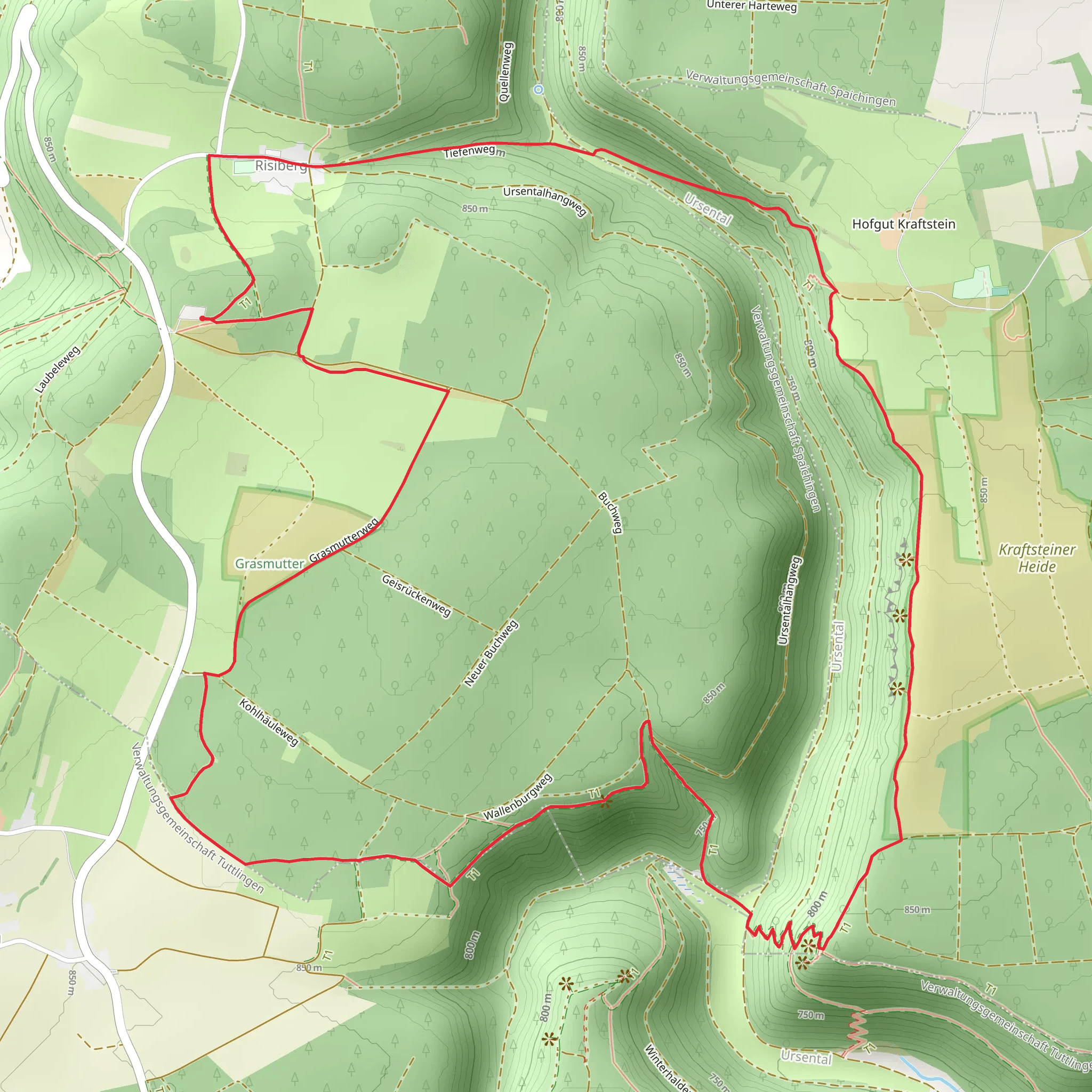 Risiberg, Ruine Kraftstein and Wallenburg Loop via Tiefenweg mobile static map