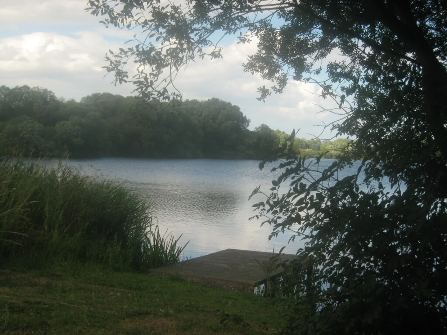 An image depicting the trail Wingham, Seaton and Fordwick Loop and its surrounding area.