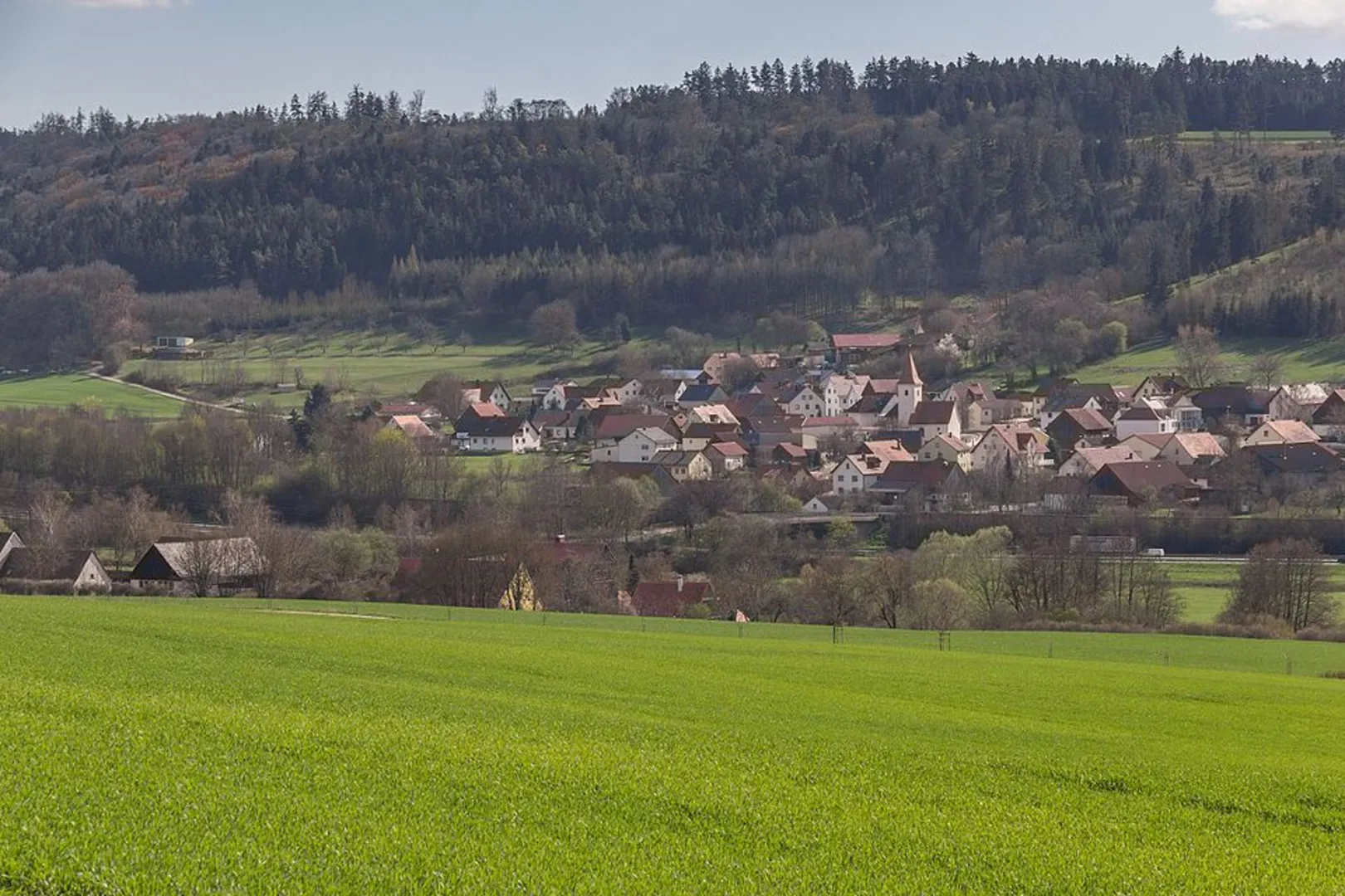 An image depicting the trail Greding 10 Loop and its surrounding area.