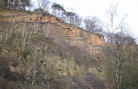 An image depicting the trail Mastbergle, Nachtigall and Staufenberg Loop via Wildehege Rundweg and its surrounding area.