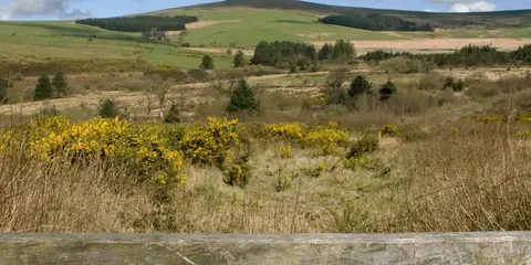 An image depicting the trail Foel Cwmcerwyn from Rosebush - Preseli Hills and its surrounding area.