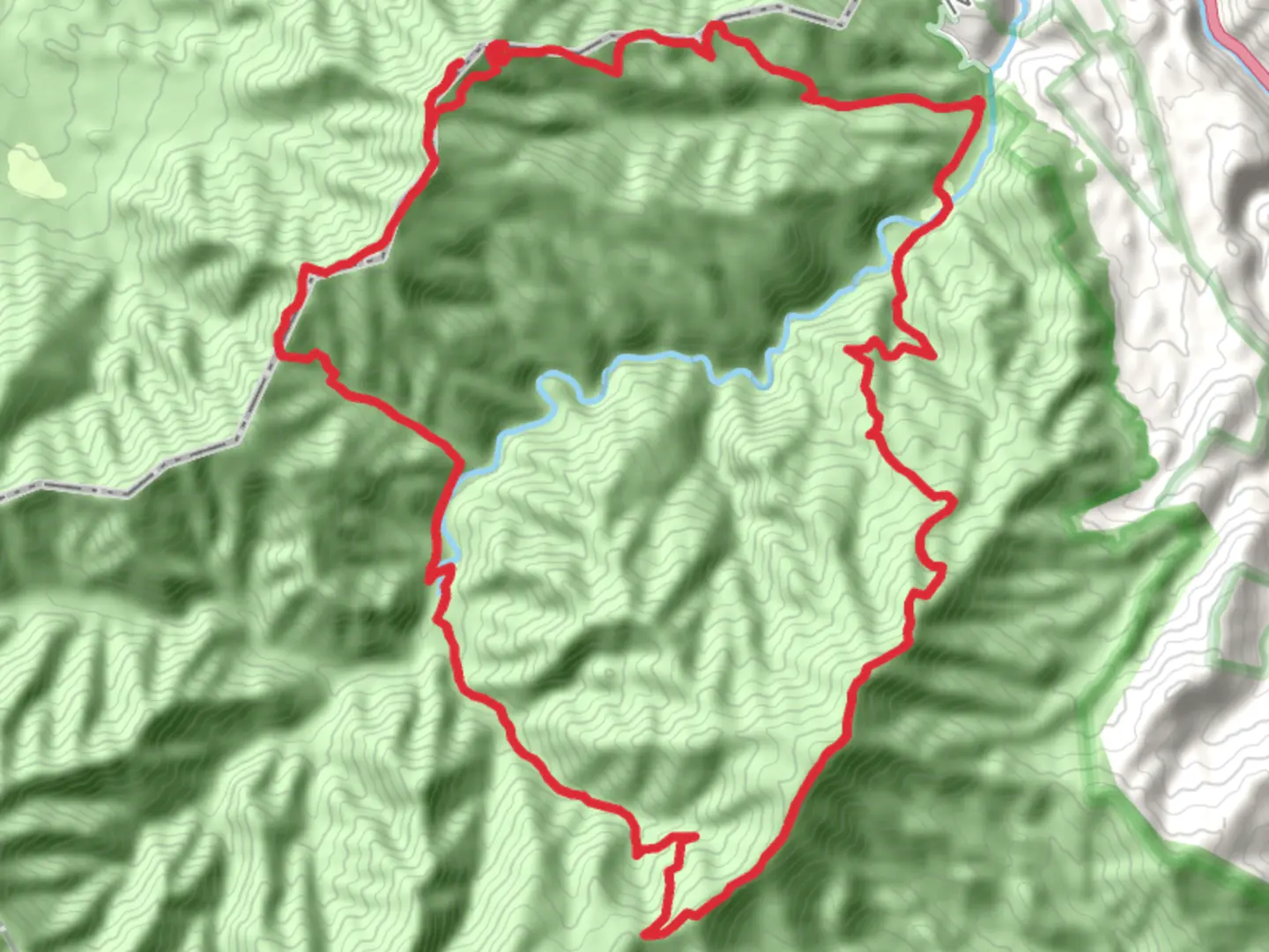 An image depicting the trail Mount Cammerer, Chestnut Branch Trail Loop and its surrounding area.