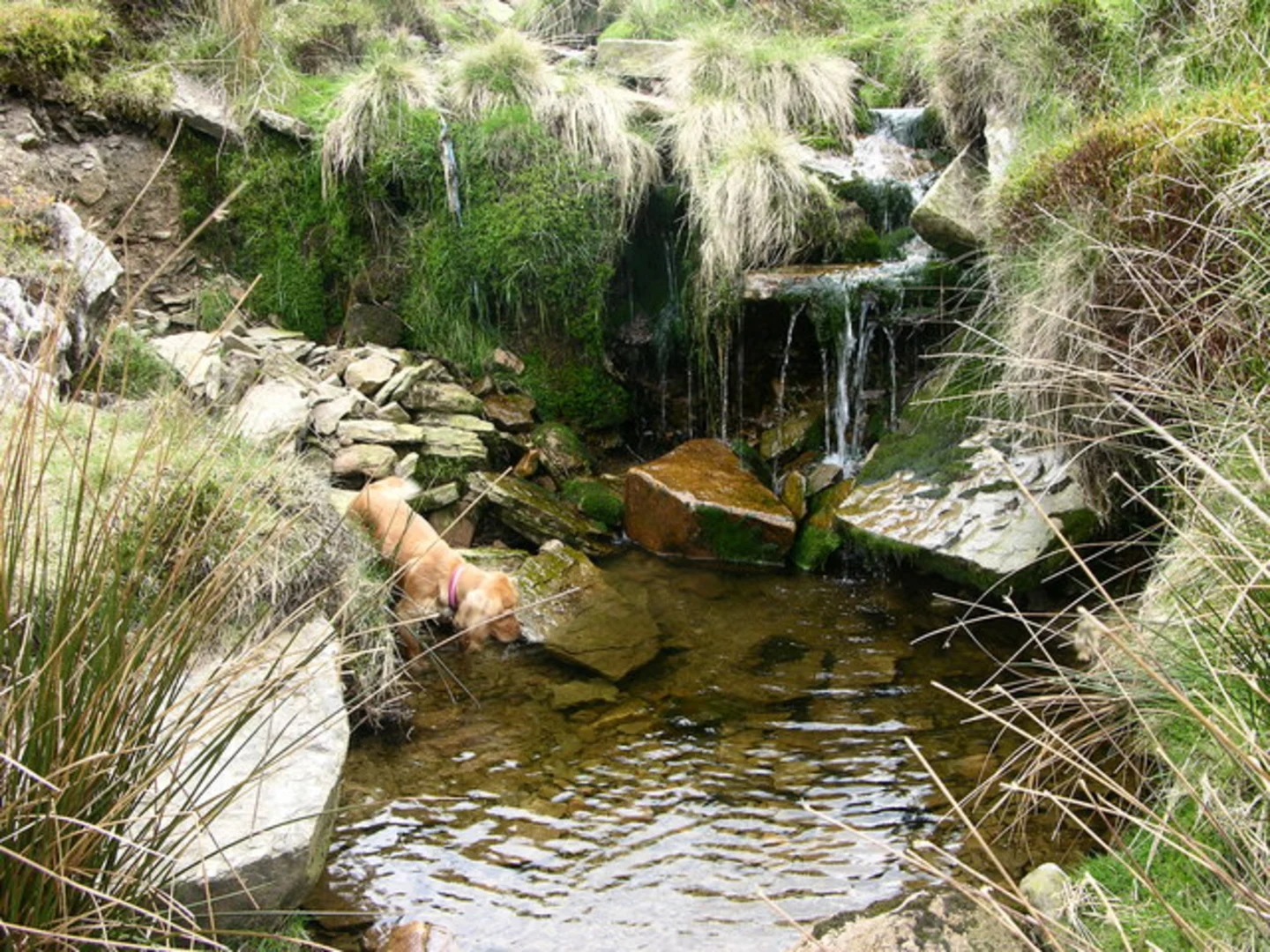An image depicting the trail Beetle Hill and River Irwell Loop and its surrounding area.