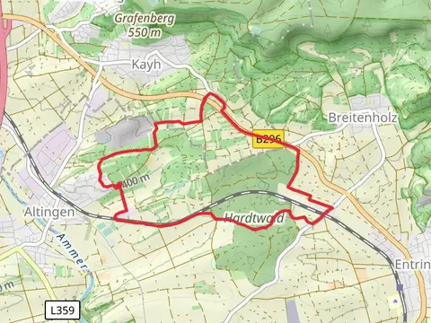 Hartwald Loop - Altingen
