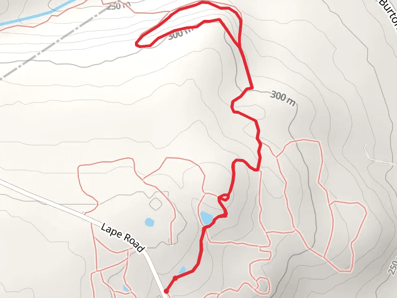 Lape Road Loop