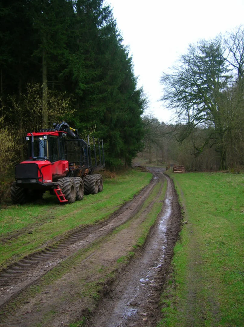 An image depicting the trail Monkton Wood and Linchball Wood Loop - Hooksway and its surrounding area.