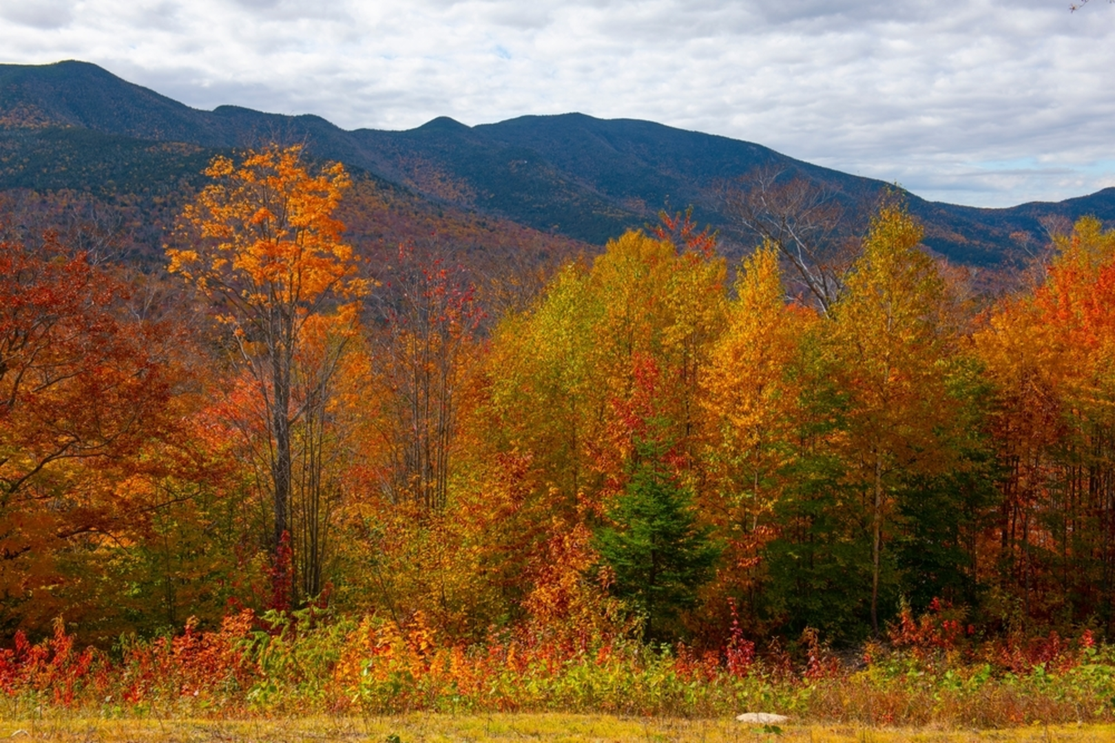 An image depicting the trail East Pond Trail and its surrounding area.