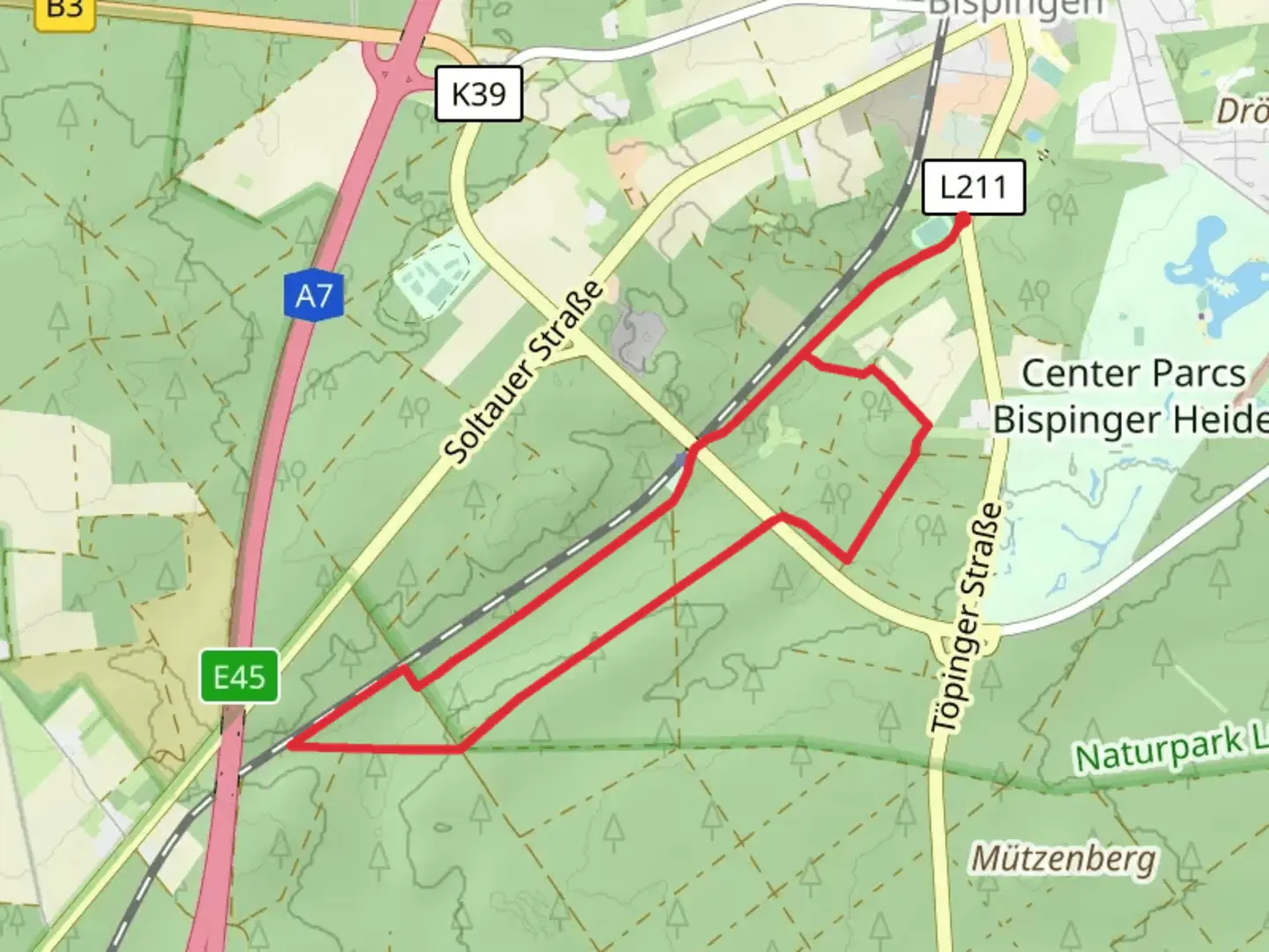 An image depicting the trail Bispingen Loop and its surrounding area.