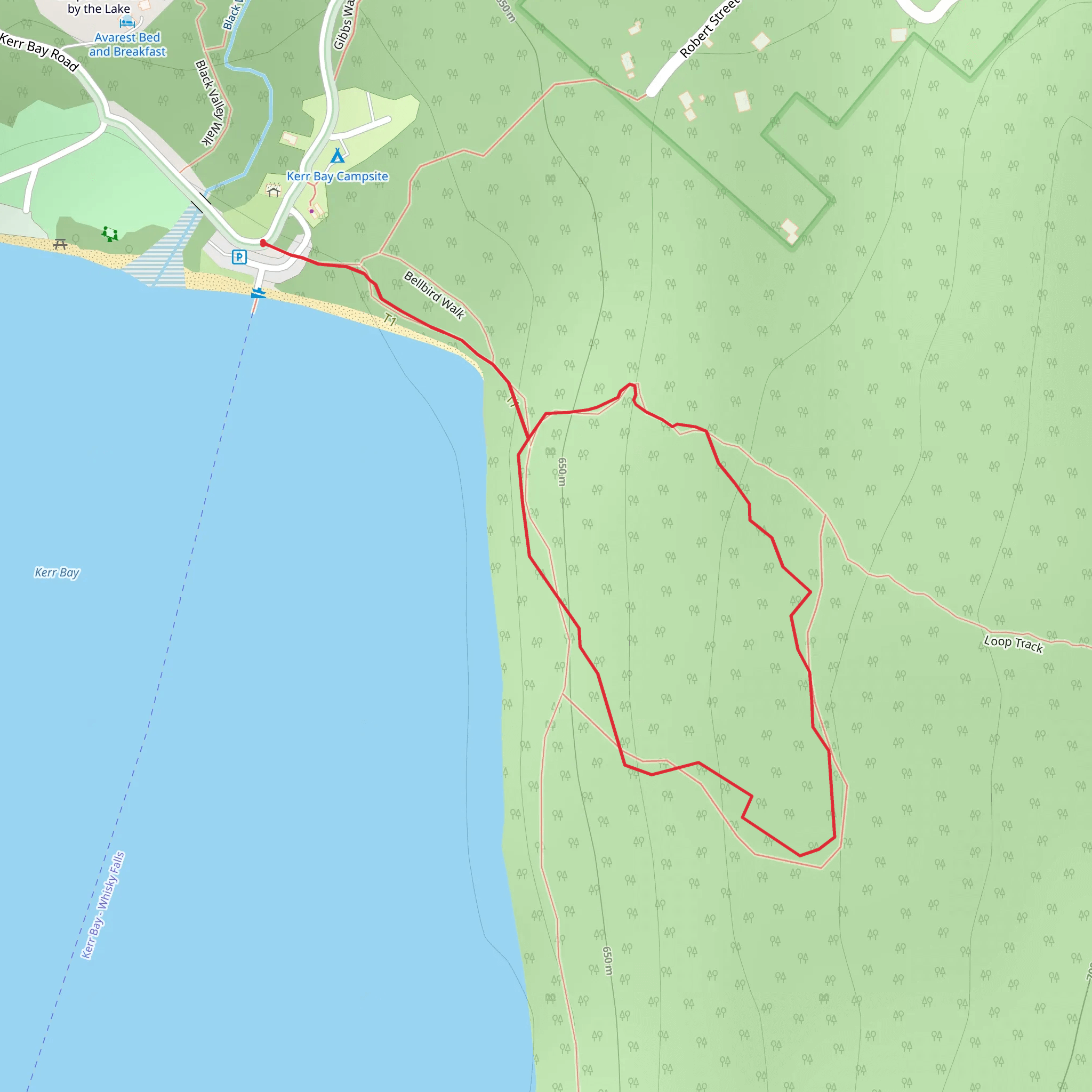 Honeydew Track mobile static map