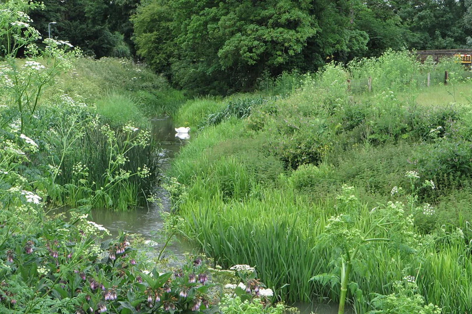 An image depicting the trail Kislingbury and Kislingbury Syndicate Lake Loop and its surrounding area.