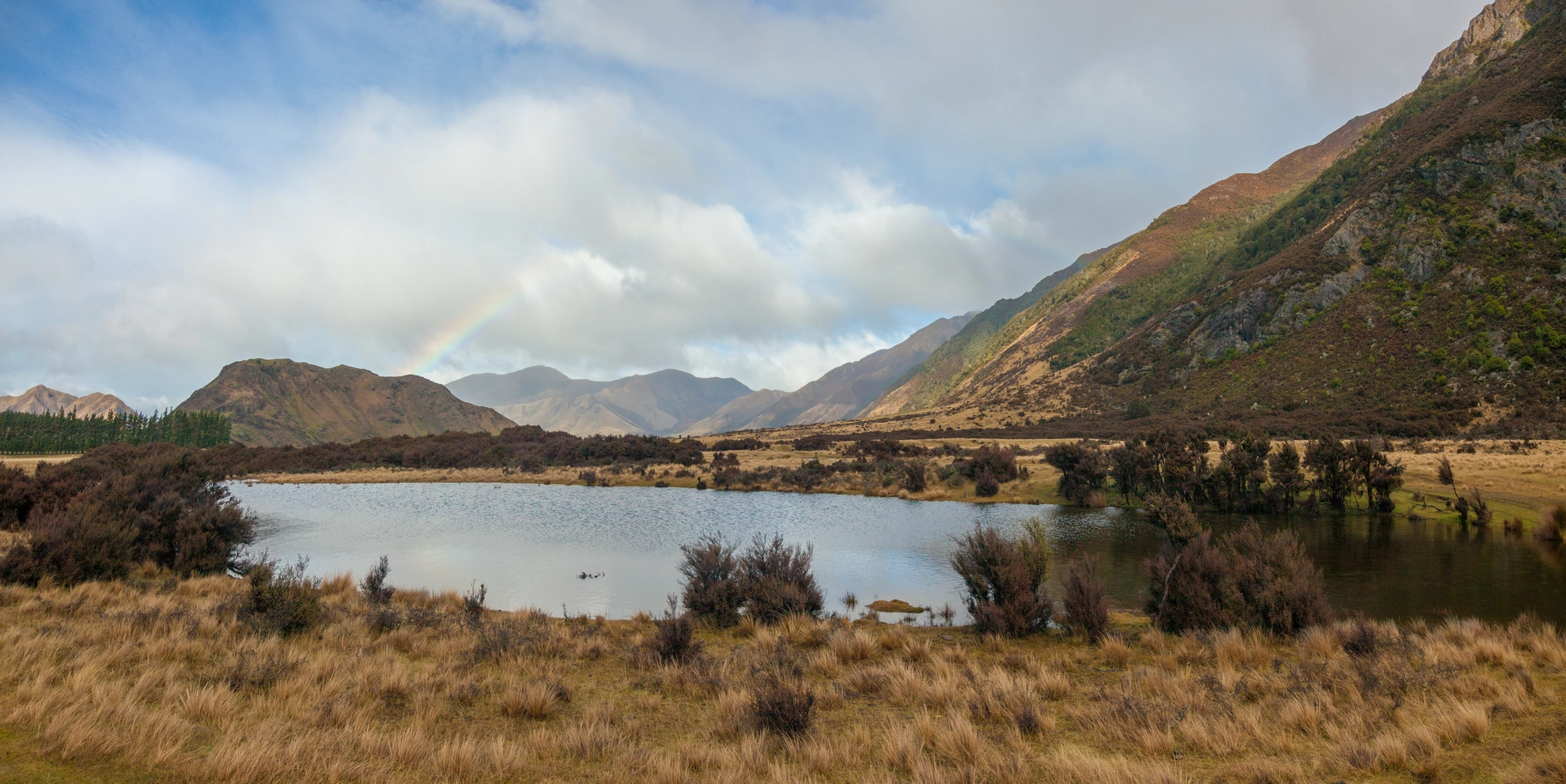 An image depicting the trail Jollie Brook Circuit and its surrounding area.