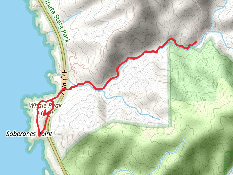 Soberanes Canyon Trail and Whale Peak Loop