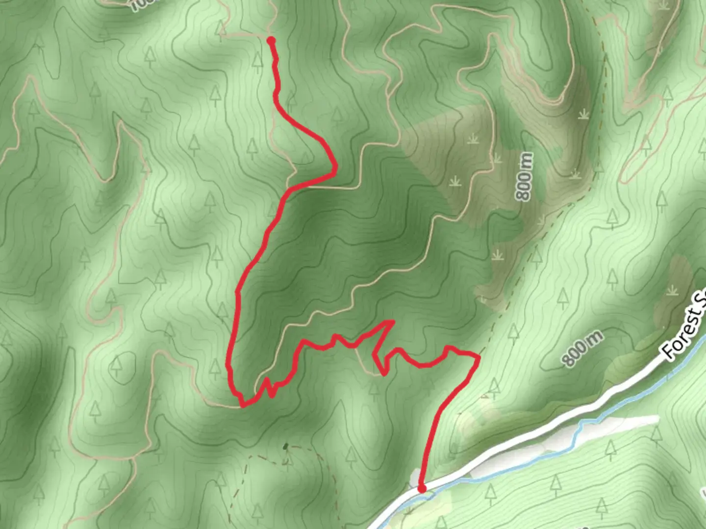 An image depicting the trail Trail 10 - Forest Service Road 268 and its surrounding area.