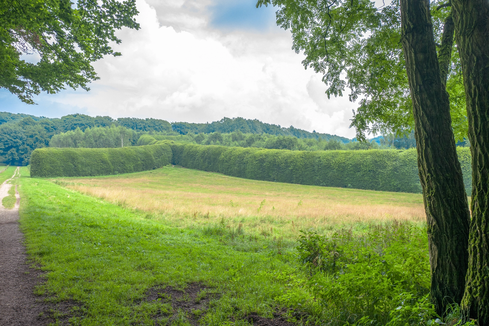 An image depicting the trail Lichtenboek, Vijverberg and Mariendaal Loop and its surrounding area.