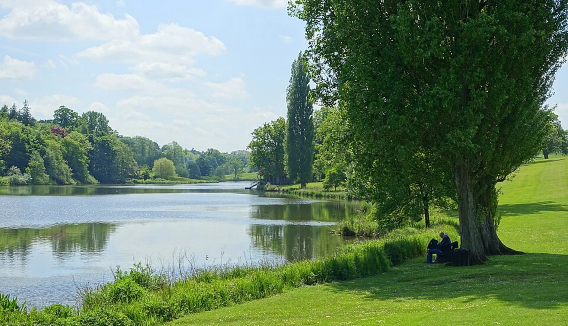 An image depicting the trail Calne to Studley and Bowood Lake Loop and its surrounding area.