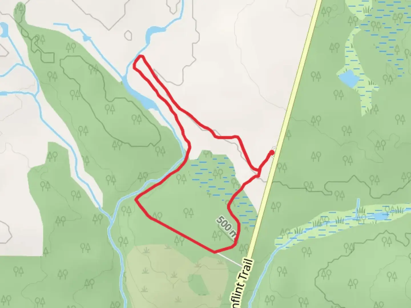 An image depicting the trail George Washington Memorial Pines Loop and its surrounding area.