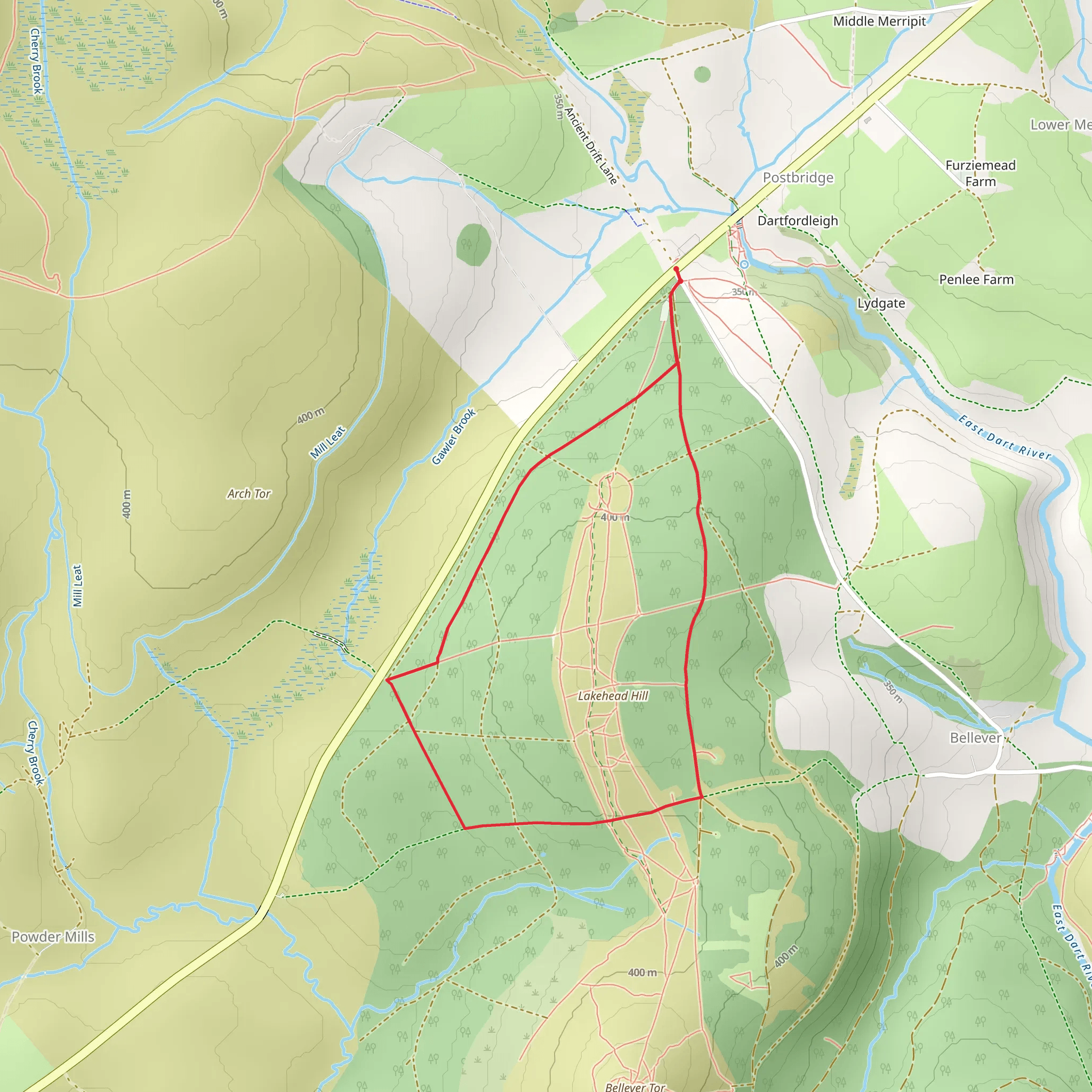 Bellever Forest Route mobile static map