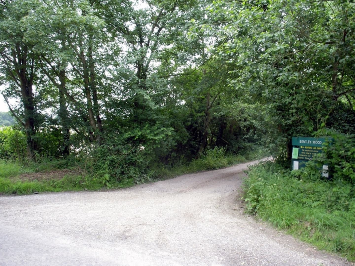 An image depicting the trail Brown's Copse, Richwellsted Copse and Bentley Wood Loop and its surrounding area.