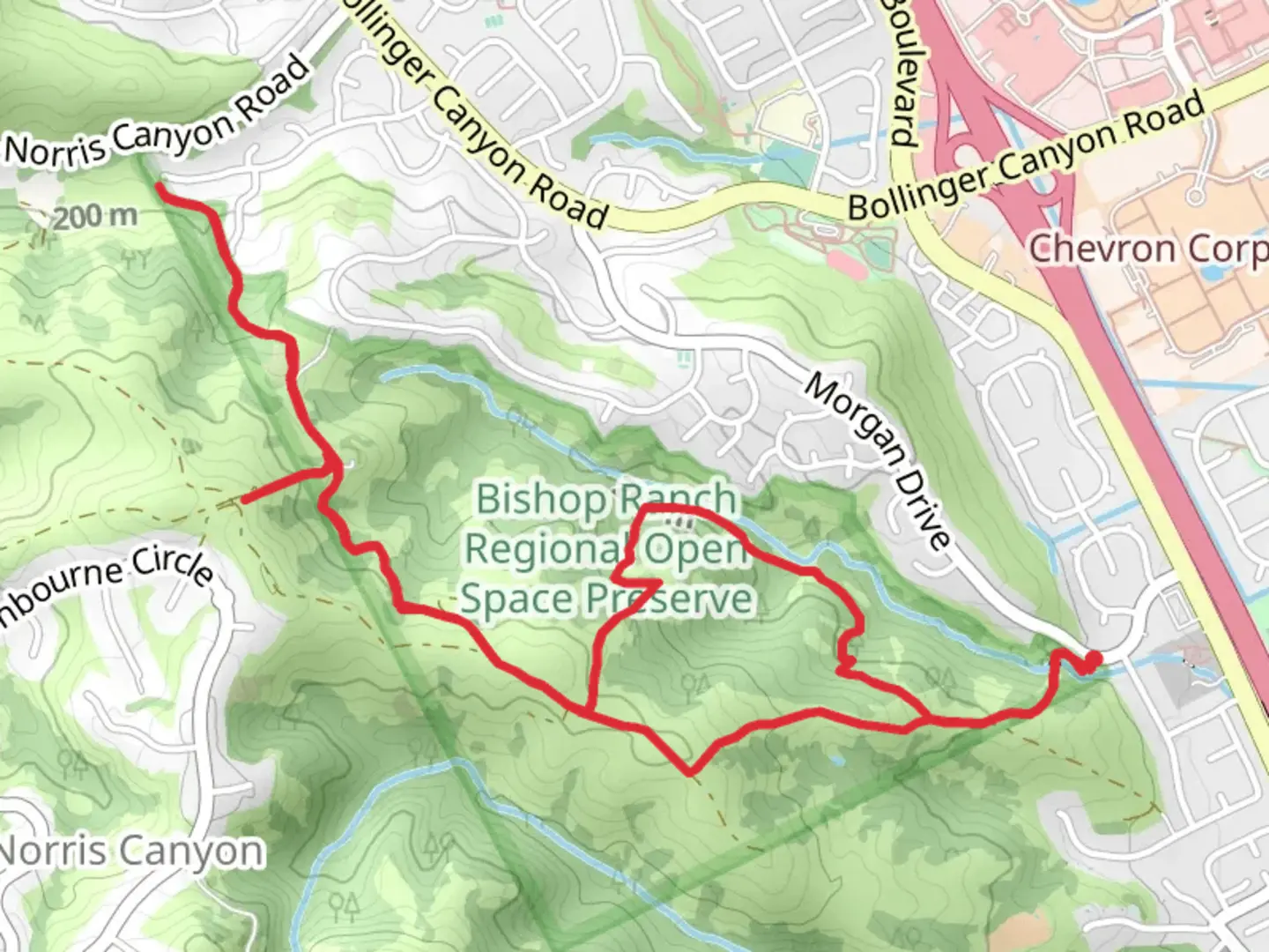 An image depicting the trail Grey Fox and Redtail Hawk Loop Trail and its surrounding area.