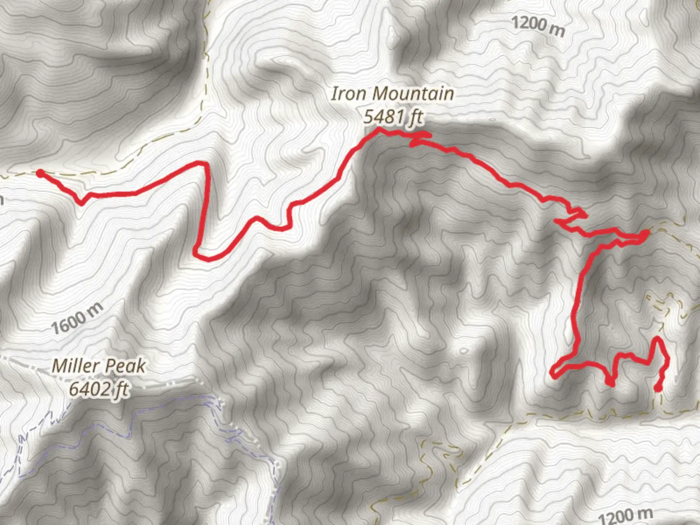 An image depicting the trail Shaser Creek Road System Trail and its surrounding area.