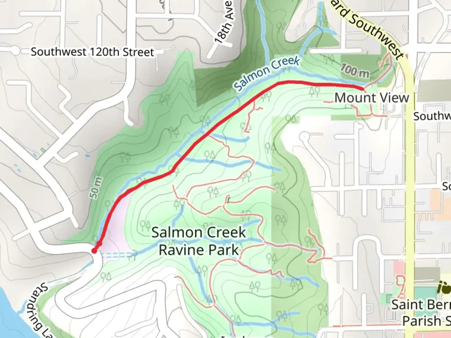 An image depicting the trail Walk beside Salmon Creek and its surrounding area.