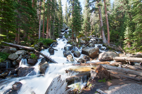 An image depicting the trail Calypso Cascades Trail and its surrounding area.