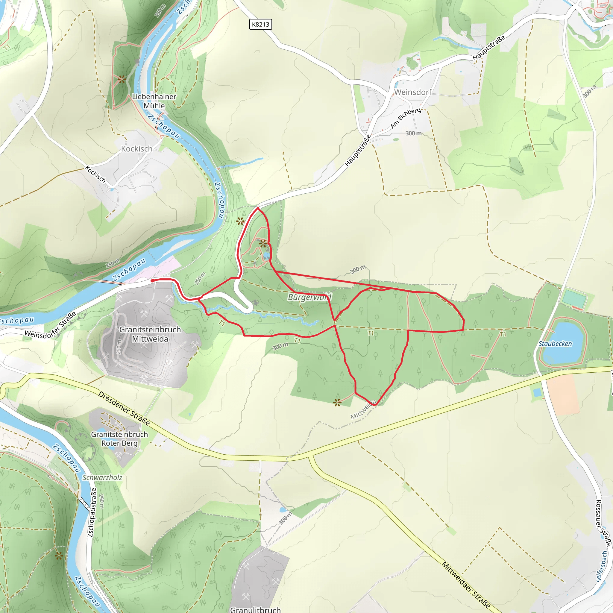 Burgerwald, Silbersee and Steinbruch Loop via Burgerwaldrundweg mobile static map