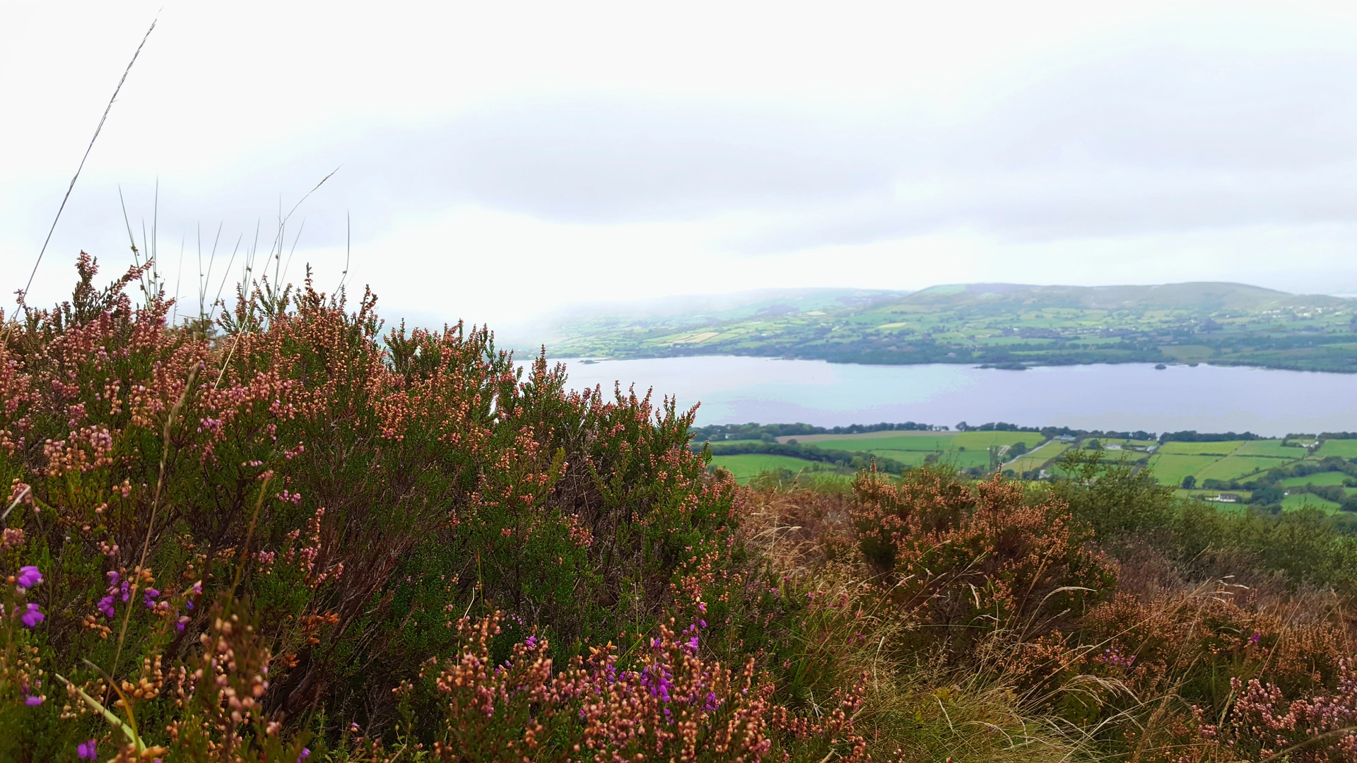 An image depicting the trail Sli Eala and its surrounding area.