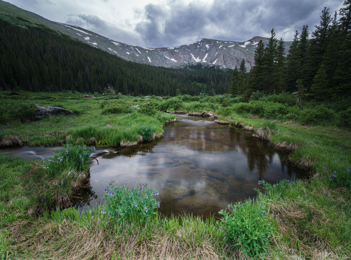 An image depicting the trail Beartrack Lakes Trail and its surrounding area.