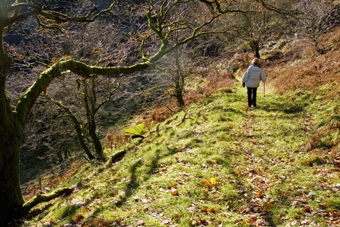An image depicting the trail Wray to Middle Salter Loop and its surrounding area.