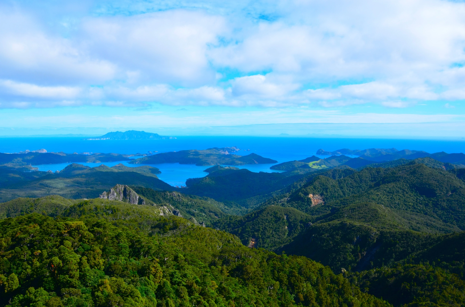 An image depicting the trail South Fork Track and its surrounding area.